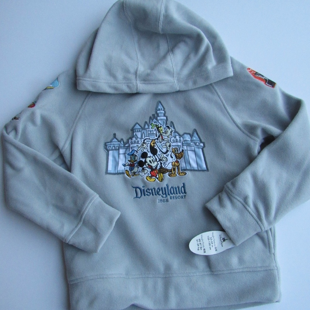 Disneyland Resort Gray Hoodie Jacket Large 10/12